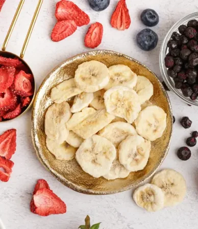How-to-Freeze-Dry-Fruit-at-Home